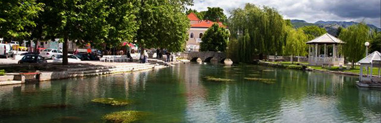 Rika, solinska ljepotica i hraniteljica