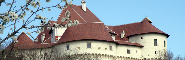 Sve novice o Dvoru Veliki Tabor na jednom mjestu