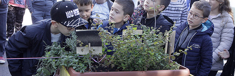 Otvoren Senzorni vrt za edukaciju i relaksaciju učenika