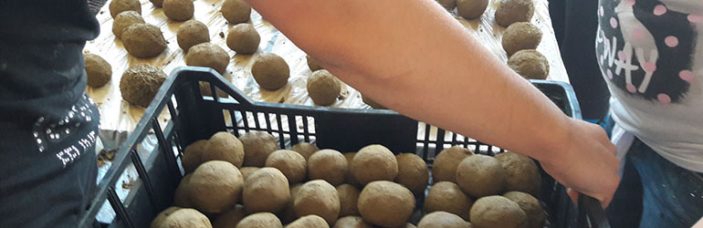 Pozvani ste na provedbu školskog projekta EM kugle!