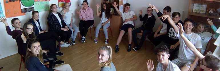 Profesionalno usmjeravanje