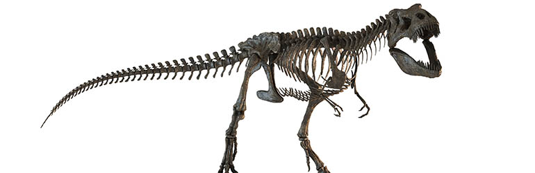 Čak se i tiranosaur bojao tog predatora