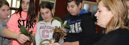 Školski portal: Tradicijski uzgoj u međimurskom vrčaku 