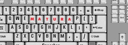 Školski portal: Učenici ostvarili loše rezultate iz hrvatskog i matematike