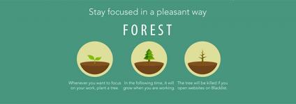 Školski portal: Odlična aplikacija koja će vam pomoći da ostanete usredotočeni