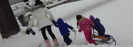 Školski portal: Djeco, van iz kaveza!