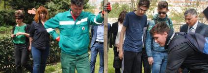 Školski portal: Posađeno stablo oleandra