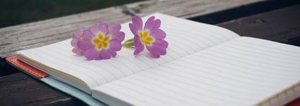 Školski portal: Zahvalite svom razredu – primjenjujte sretniju strategiju