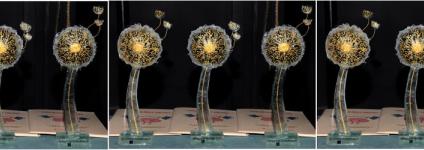 Školski portal: Javni poziv za podnošenje prijedloga za dodjelu nagrade “Maslačak znanja”