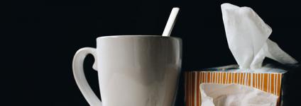 Školski portal: Čuvajte se gripe, prevencija je moguća!