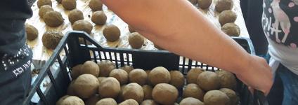 Školski portal: U svjetskom projektu čišćenja morskog dna efektivnih mikroorganizmima