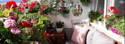 Školski portal: Balkon koji mami uzdahe  