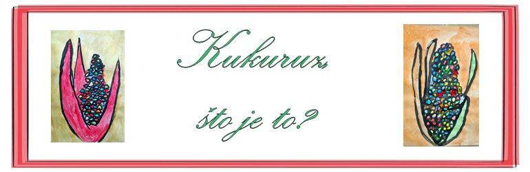 Kukuruz ― što je to?