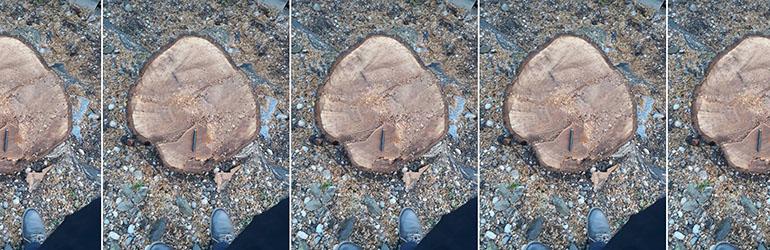 U stablima ima nešto neodoljivo