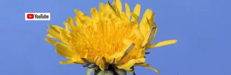 O ukusima se, ipak, raspravlja 