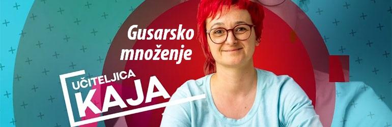 Gusarsko množenje