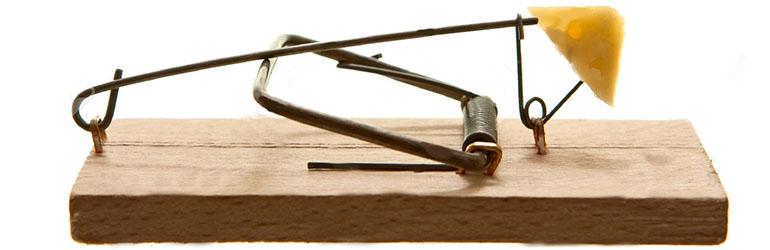 Nije dovoljno naučiti...